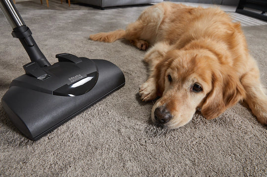 Classic C1 Cat & Dog PowerLine - SBBN0