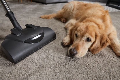 Classic C1 Cat & Dog PowerLine - SBBN0